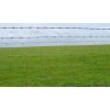 PERIMETER FENCE