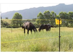 ELECTRIC WIRE FENCE