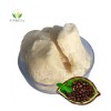 Private Label Wholesale Price Bulk Raw Unrefined Cocoa Butter