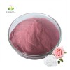 Food Grade  Natural Organic Pink Rose Petal Flower Powder Extract