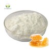 High Quality Wholesale Price Bulk Dried  Pure Natural Organic Honey Extract Powder