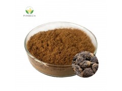 Wholesale Price  Pure Natural Organic Bulk 10:1 Black Maca Root Extract Powder