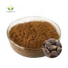 Wholesale Price  Pure Natural Organic Bulk 10:1 Black Maca Root Extract Powder