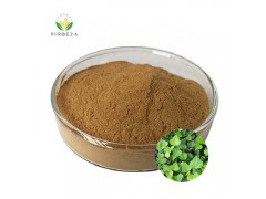 Wholesale Price 100% Pure Natural 10:1 Ivy Leaf Extract Powder