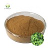 Wholesale Price  Pure Natural 10:1 Ivy Leaf Extract Powder