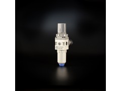 ZT200 Series Air Filter Regulator