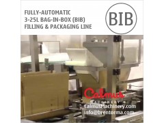 Fully-automatic Bag in Box Filling Packaging Line
