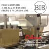 Fully-automatic Bag in Box Filling Packaging Line