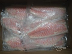 Frozen Red Drum Fish Fillet