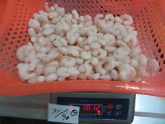 Frozen cooked vannamei shrimp PUD
