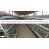 Chicken Layer Cage System