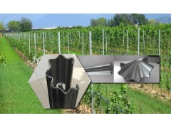 Vineyard Support Posts