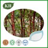 Polygonum Cuspidatum Extract Resveratrol Polydatin Manufacturer