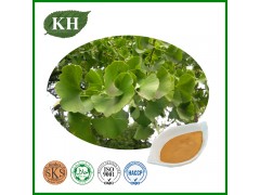 Ginkgo Biloba Extract 90045-36-6 Manufacturer