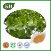 Ginkgo Biloba Extract 90045-36-6 Manufacturer