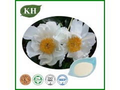  Natural Paeoniflorin/White Peony Root Extract Manufacturer