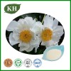  Natural Paeoniflorin/White Peony Root Extract Manufacturer