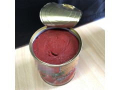 Canned Tomato Paste