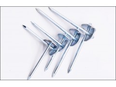 Hot Dipped Galvanized Roofing Nails