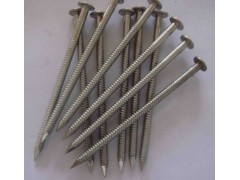 Stainless Steel Roofing Nails