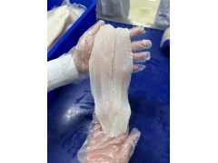 FROZEN PANGASIUS FILLET