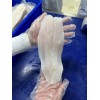 FROZEN PANGASIUS FILLET