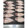 FROZEN PANGASIUS BUTTERFLY CUT