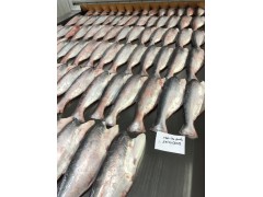 FROZEN PANGASIUS WHOLE ROUND