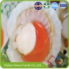 Frozen Half Shell Sea Scallops
