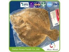 IQF Frozen Turbot