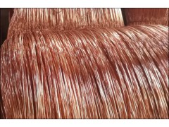 Copper Coated Wire