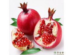 Pomegranate Rind Extract