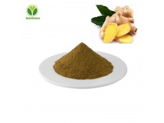 Ginger Extract