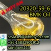 Hoyan Top Quality CAS 20320-59-6 BMK Oil BMK Powder 5449-12-7 in Stock