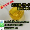 Beautiful Price High Quality CAS 20320-59-6 BMK Oil BMK Powder 5449-12-7 in Stock