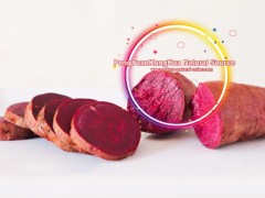 produce purple sweet potato natural pigment