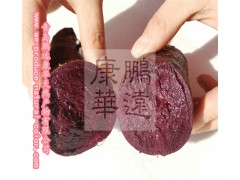 purple sweet potato color natural colorant