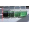 sodium copper chlorophyllin