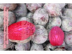 beet root red natural colorant