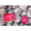 beet root red natural colorant