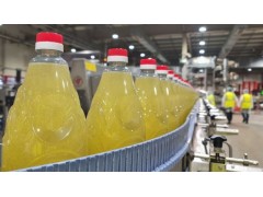 Refined Sunflower Oil