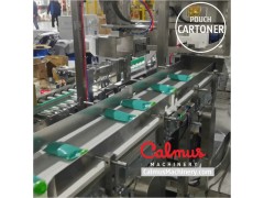 Case Packer Machine Pouch Cartoning Line for Packaging Doypacks