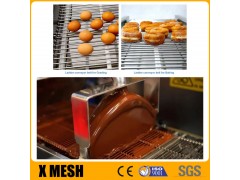 Ladder Conveyor Belt
