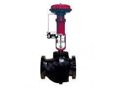 Cage Guided Globe Control Valves
