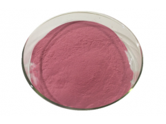 Raspberry powder Raspberry juice powder Water soluble Raspberry fruit and vegetable powder