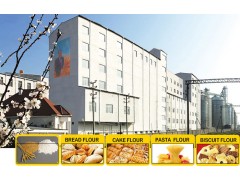 Multi-story Flour Milling Plant