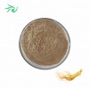 Ginseng Extract Powder