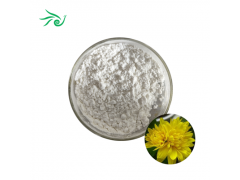 Bulk Inulin Powder