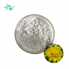 Bulk Inulin Powder