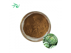 Artichoke Extract Powder